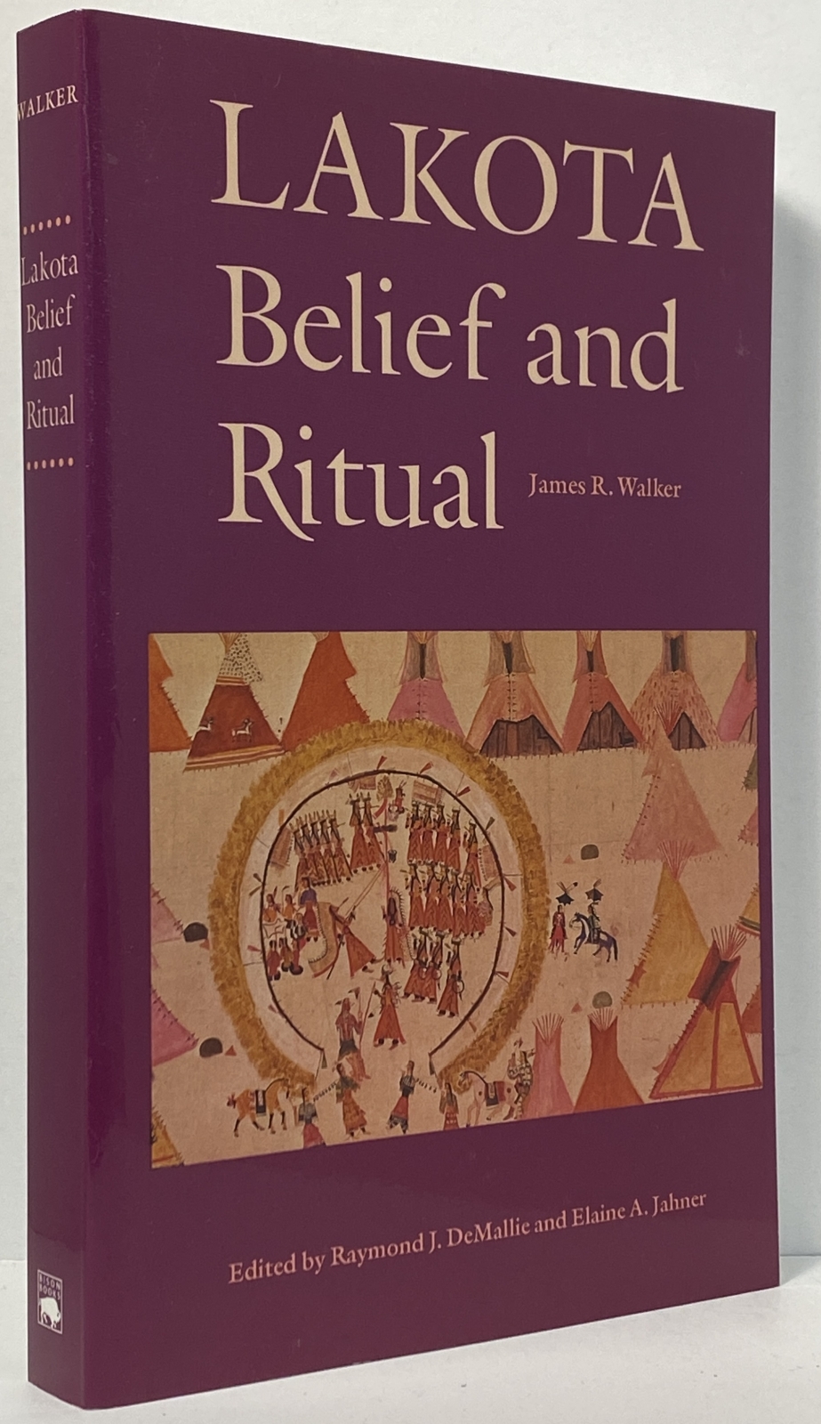 Lakota Belief and Ritual