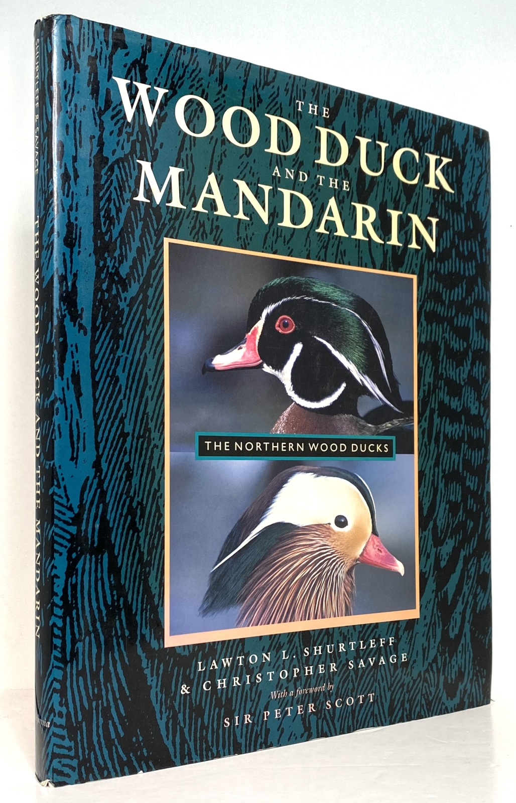 The Wood Duck and the Mandarin: the Northern Wood Ducks