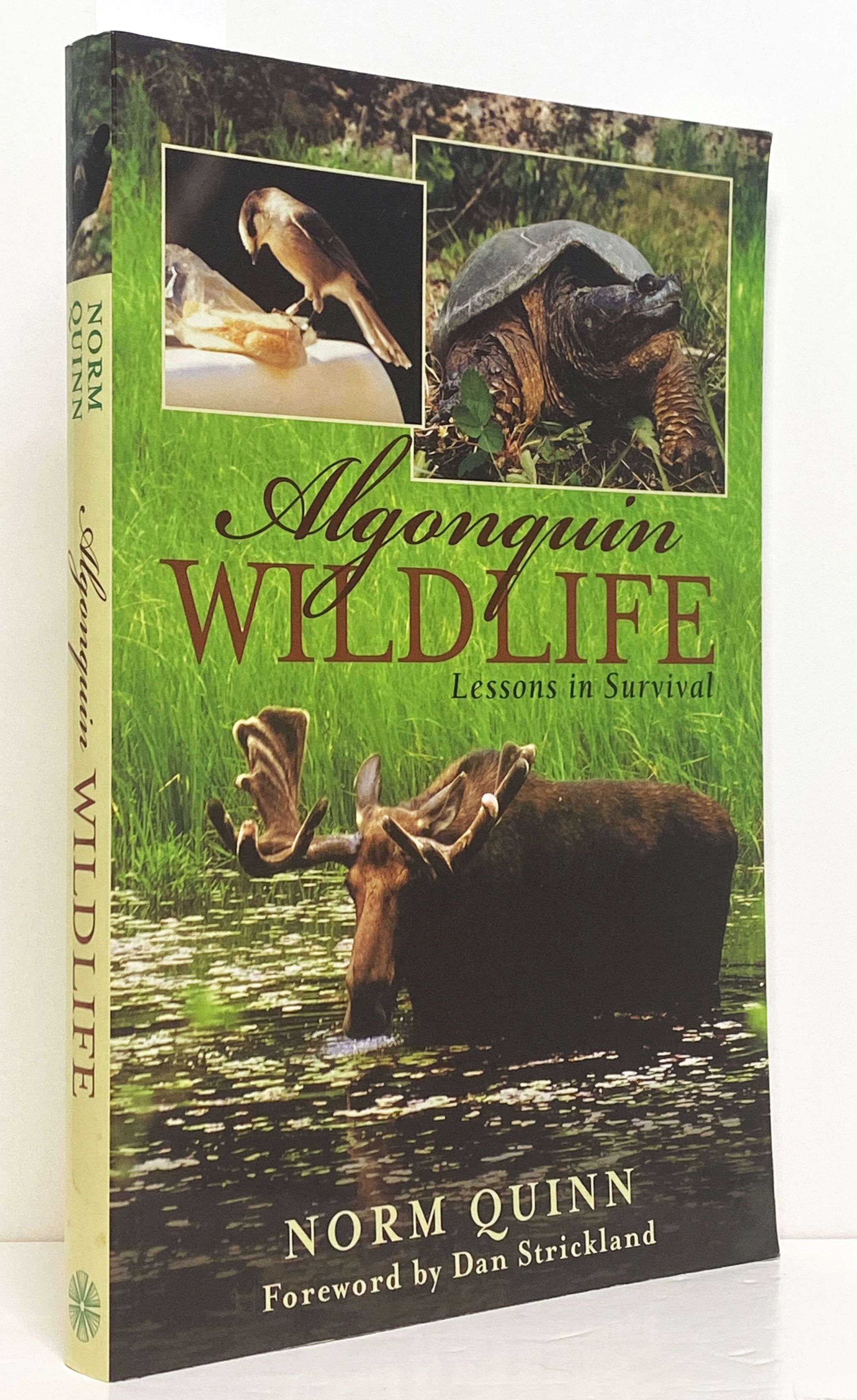 Algonquin Wildlife: Lessons in Survival