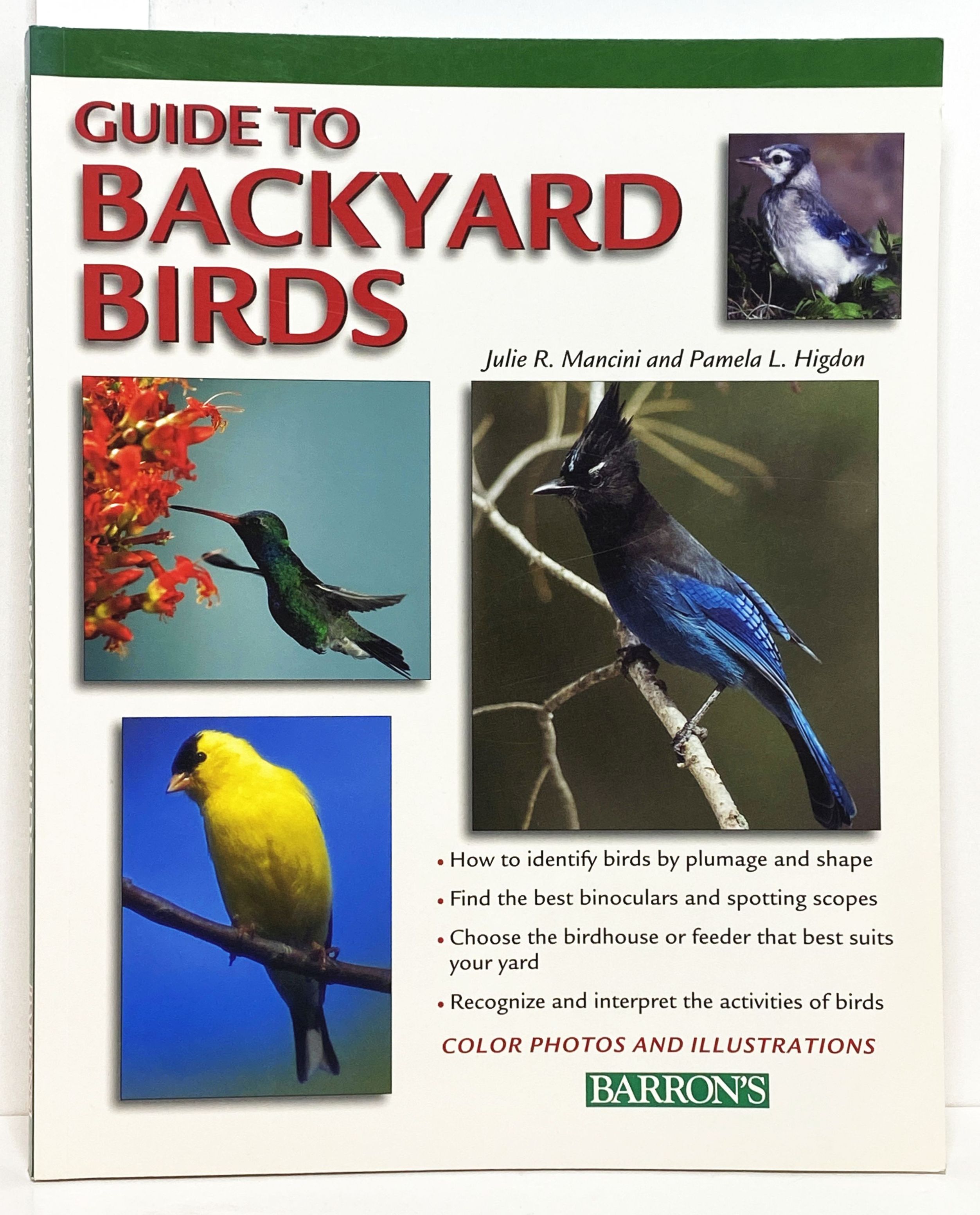 Guide to Backyard Birds
