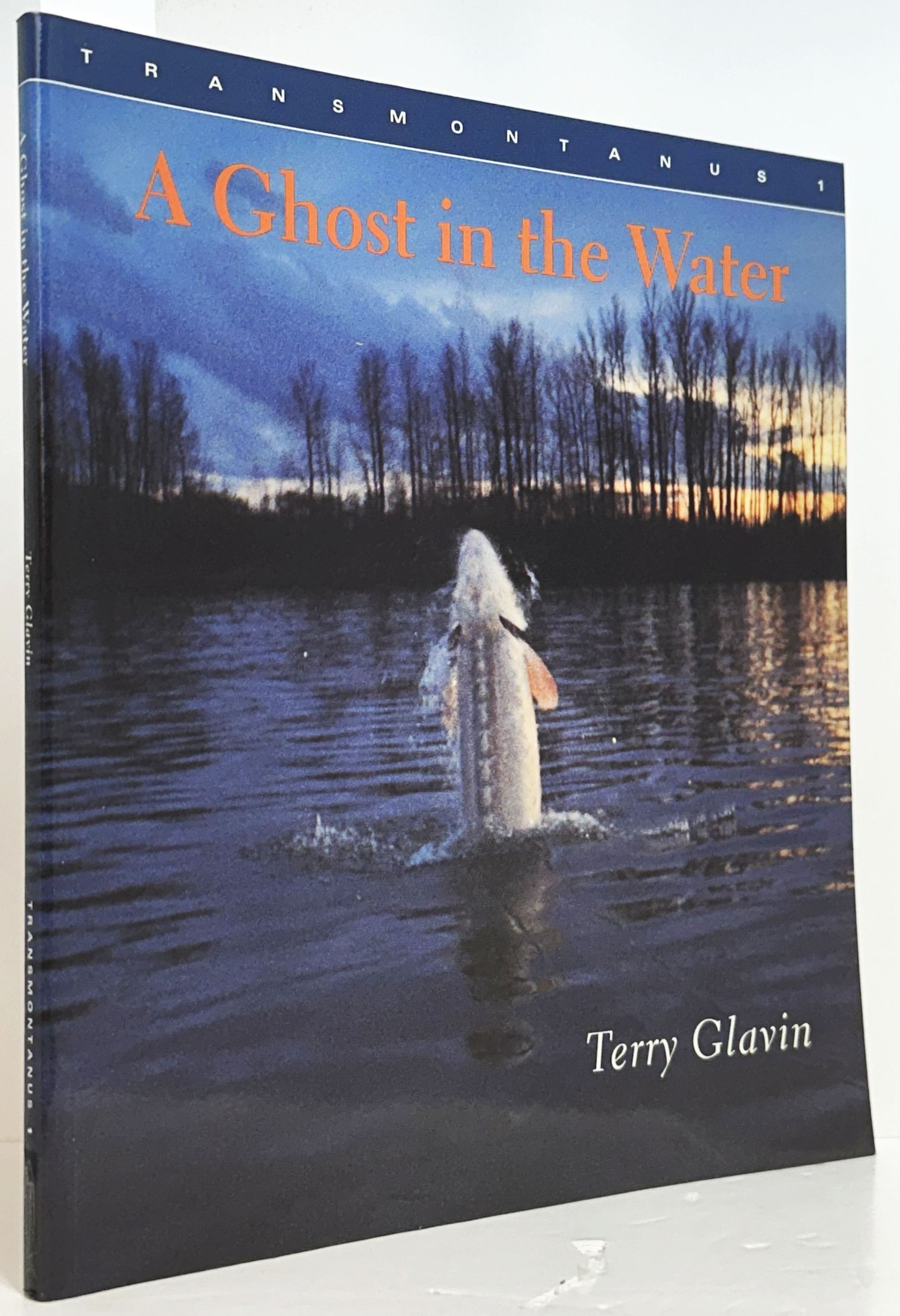 A Ghost in the Water