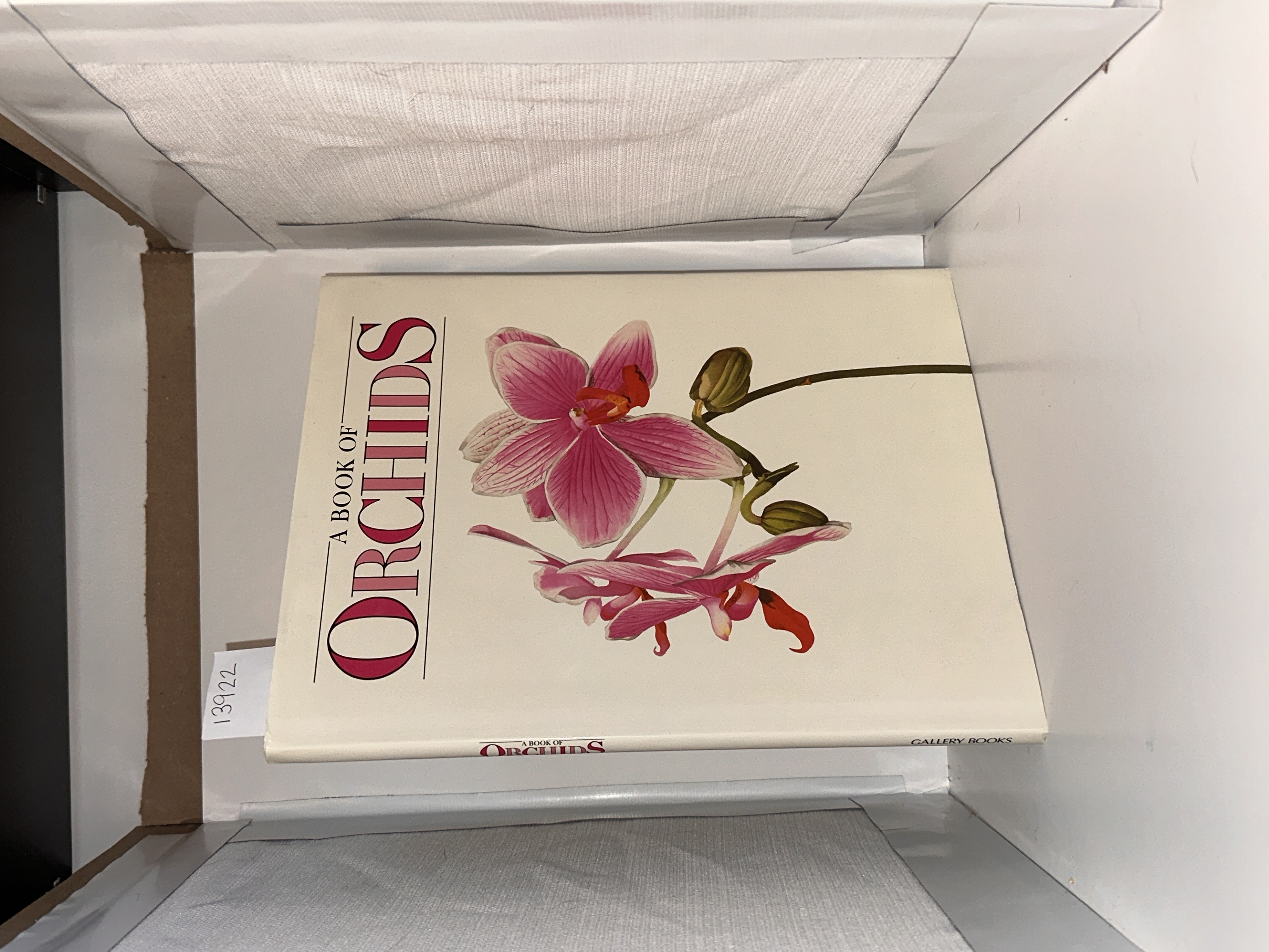 A Book of Orchids