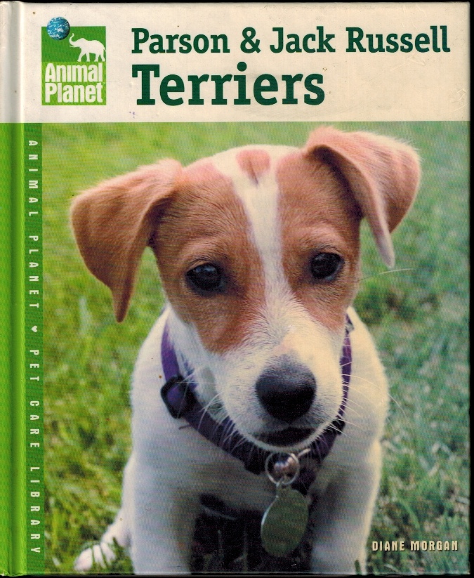 Parson & Jack Russell Terriers