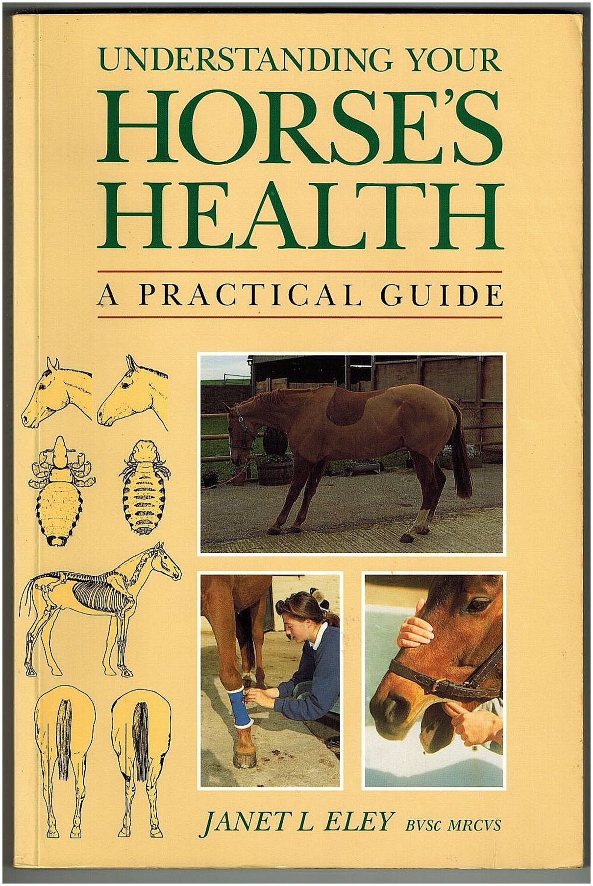 Understanding Your Horse's Health: A Practical Guide