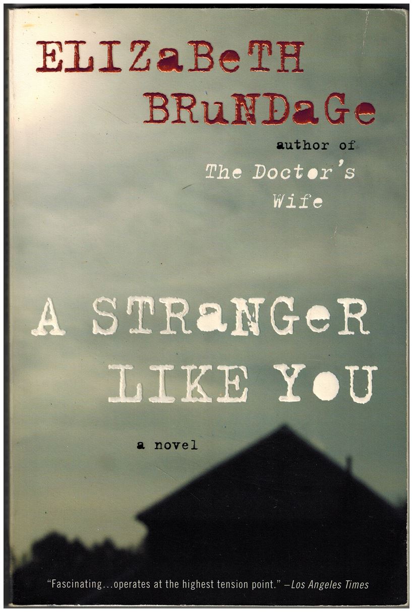 A Stranger Like You