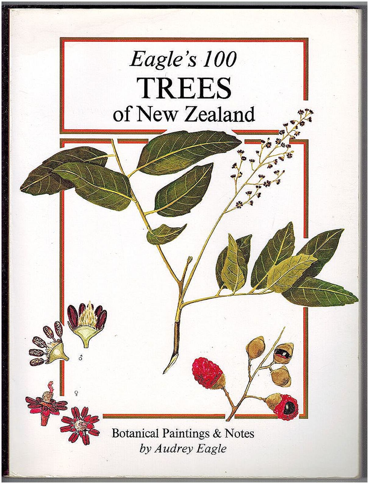 Eagle's 100 trees of New Zealand: Companion volume to Eagle's 100 shrubs & climbers of New Zealand : botanical paintings & notes